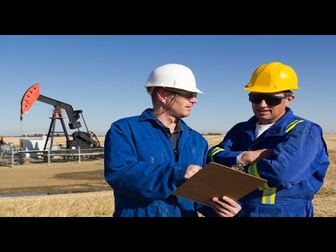 Project Engineer